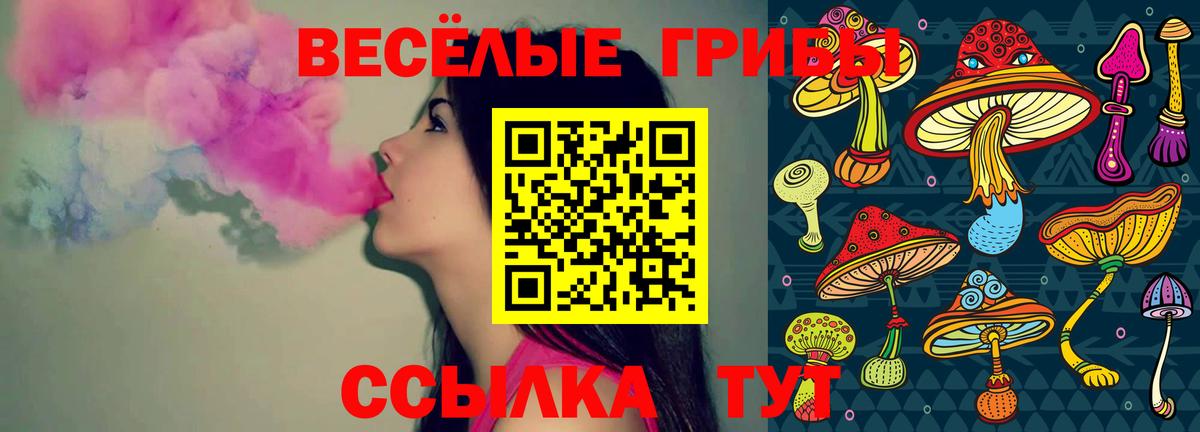 Галлюциногенные грибы мухоморы Вязники