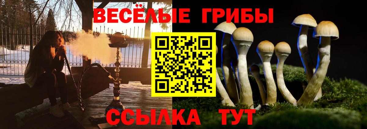 Вязники  Псилоцибиновые грибы прущие грибы  Псилоцибиновые грибы Cubensis  Вход с VPN 